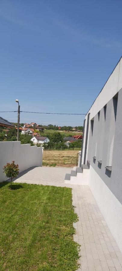 Vila Andrea Oradea Exteriör bild