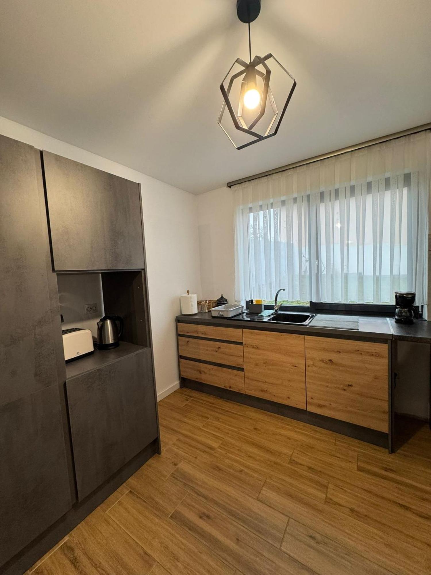 Vila Andrea Oradea Exteriör bild